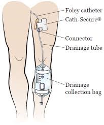 Hướng dẫn chăm sóc Sức khỏe Tại nhà