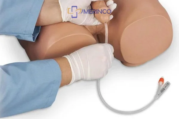 Ống thông tiểu foley: Chất liệu và Cách lựa chọn