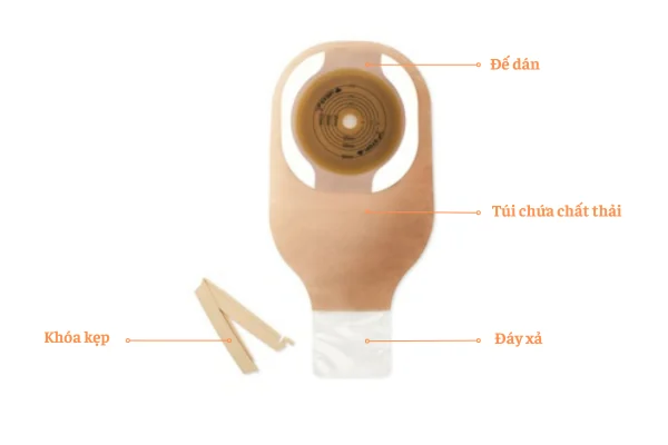 Cấu tạo túi hậu môn nhân tạo 1 mảnh Hollister