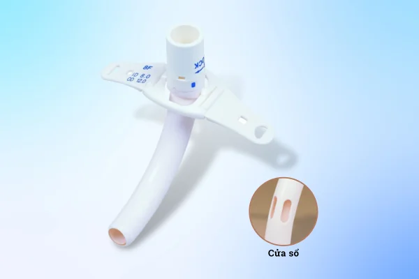 Tìm hiểu về mở khí quản và bộ mở khí quản