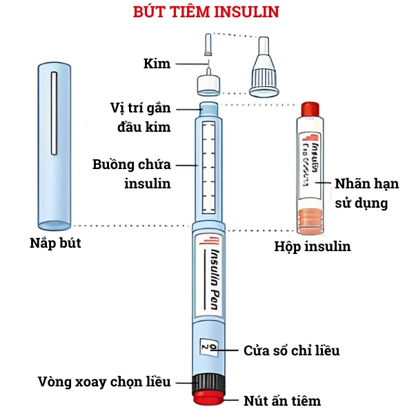 Hướng dẫn sử dụng bút tiêm insulin từ A đến Z