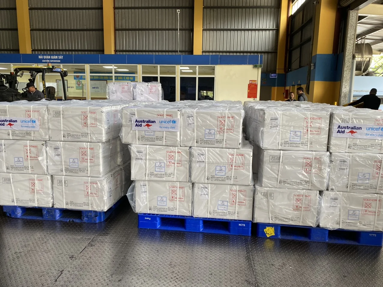 490.600 liều vaccine 5 trong 1 đã về đến Việt Nam, phân bổ thế nào?- Ảnh 1. 490.600 liều vaccine 5 trong 1 đã về đến Việt Nam, phân bổ thế nào?- Ảnh 1.