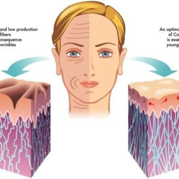 Điều gì sẽ xảy ra với collagen khi bạn già đi?