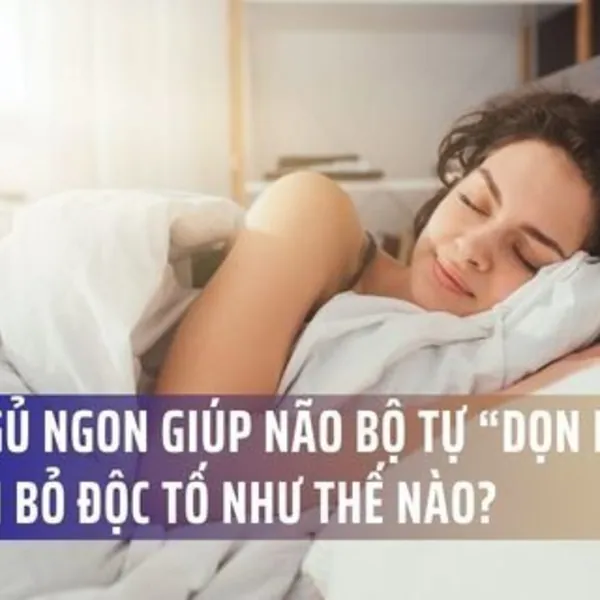 Giấc Ngủ Ngon Giúp Não Bộ Tự “Dọn Rác” Và Loại Bỏ Độc Tố Như Thế Nào?