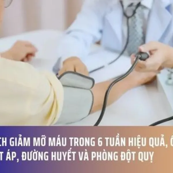 11 Cách Giảm Mỡ Máu Trong 6 Tuần Hiệu Quả, Ổn Định Huyết Áp, Đường Huyết Và Phòng Đột Quỵ