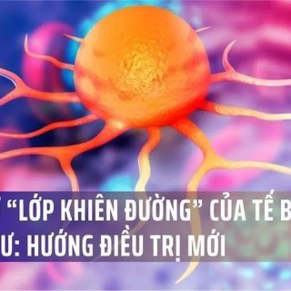 Phá vỡ “lớp khiên đường” của tế bào ung thư: Hướng điều trị mới