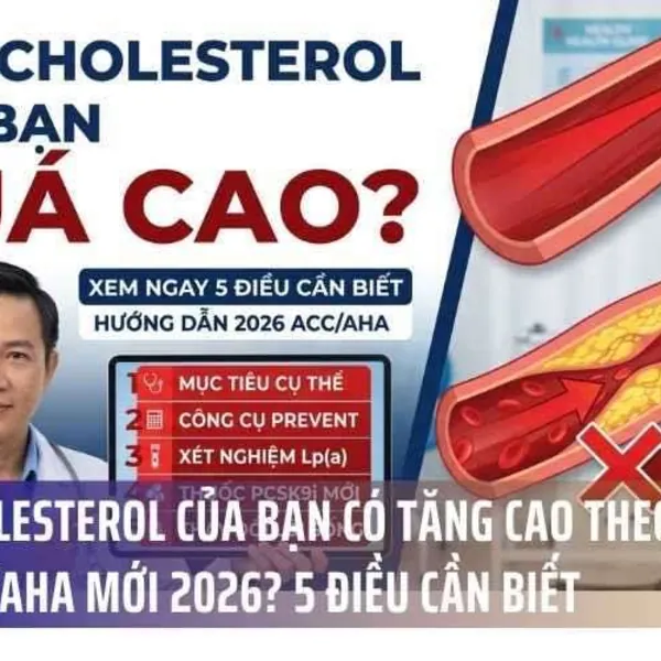 Mức Cholesterol Của Bạn Có Tăng Cao Theo Hướng Dẫn ACC/AHA Mới 2026? 5 Điều Cần Biết