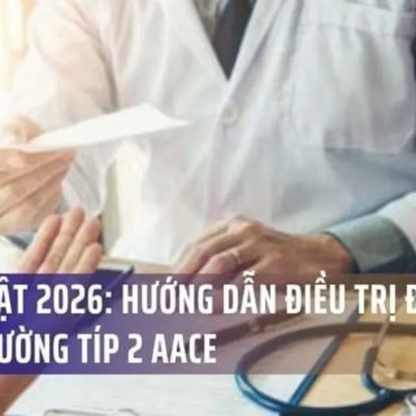 Cập Nhật 2026: Hướng Dẫn Điều Trị Đái Tháo Đường Tuýp 2 AACE