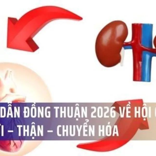 Hướng Dẫn Đồng Thuận 2026 Về Hội Chứng Tim Mới – Thận – Chuyển Hóa (CKM): Thay Đổi Tư Duy Điều Trị Toàn Diện