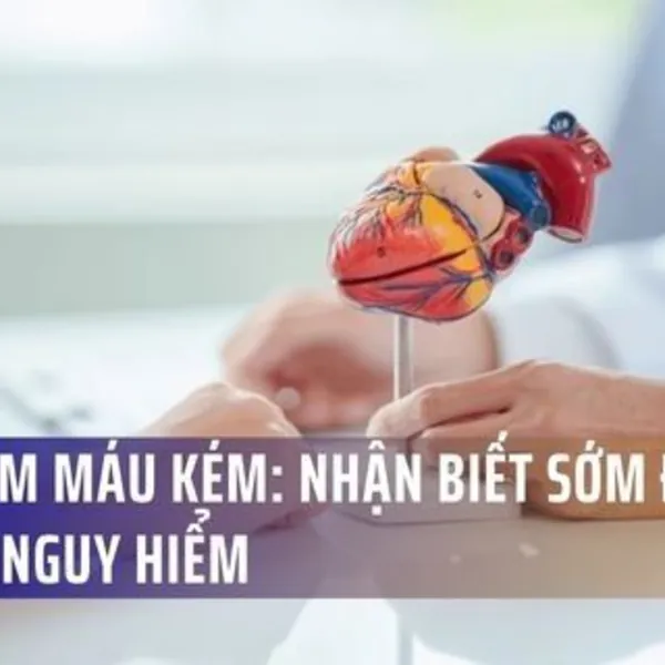 Tim Bơm Máu Kém: Nhận Biết Sớm Để Tránh Nguy Hiểm