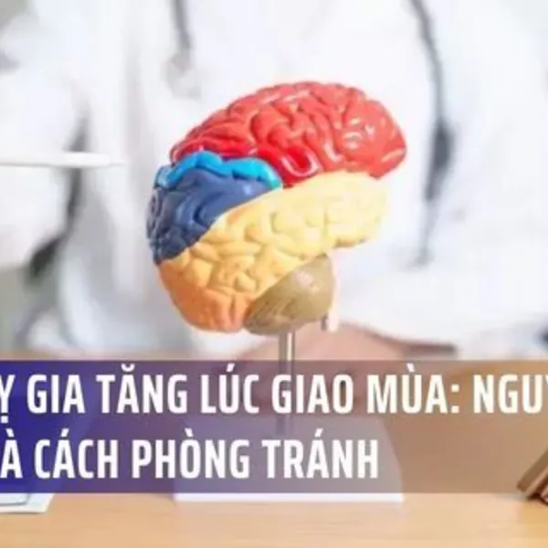 Đột Quỵ Gia Tăng Lúc Giao Mùa: Nguyên Nhân Và Cách Phòng Tránh