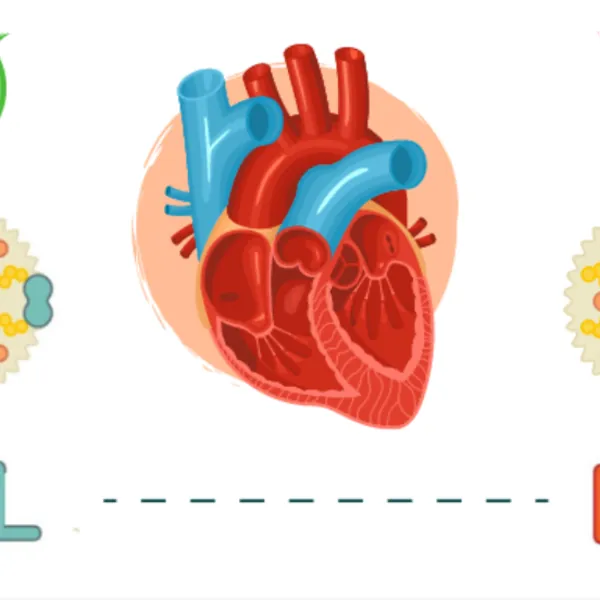 9 nguyên nhân khiến cholesterol tăng