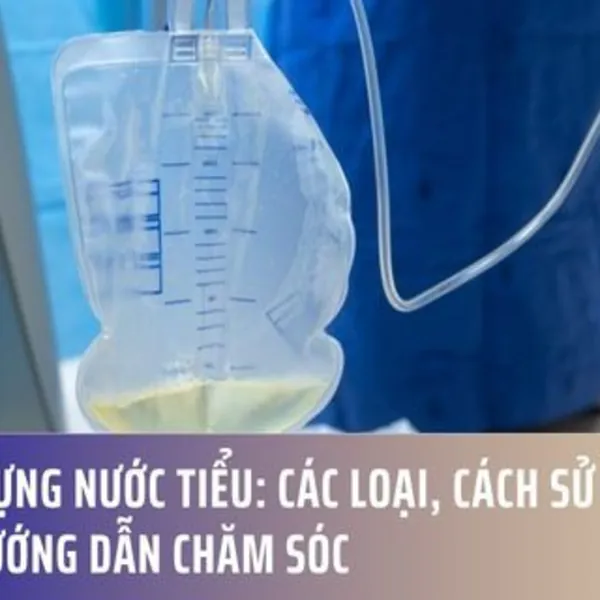 Túi Đựng Nước Tiểu: Các Loại, Cách Sử Dụng và Hướng Dẫn Chăm Sóc