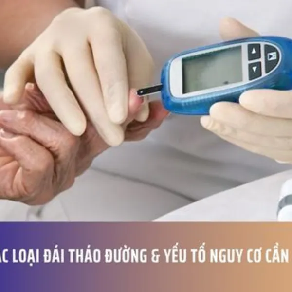 Các Loại Đái Tháo Đường & Yếu Tố Nguy Cơ Cần Biết