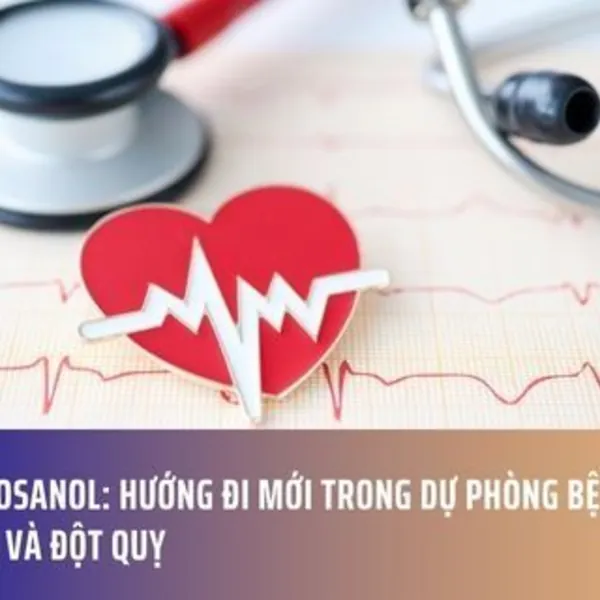 Policosanol: Hướng Đi Mới Trong Dự Phòng Bệnh Tim Mạch Và Đột Quỵ