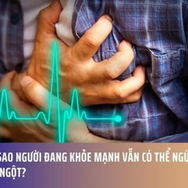 Tại Sao Người Đang Khỏe Mạnh Vẫn Có Thể Ngừng Tim Đột Ngột?