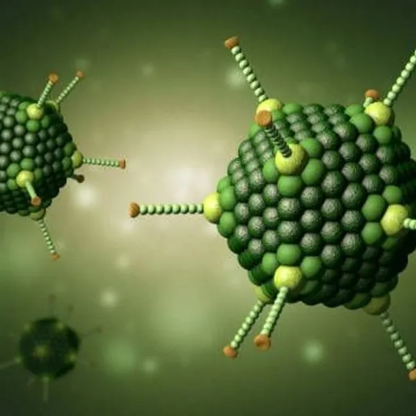 Virus Adeno nguy hiểm như thế nào?