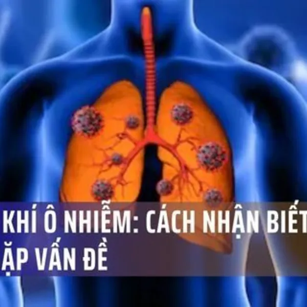 Không Khí Ô Nhiễm: Cách Nhận Biết Phổi Đang Gặp Vấn Đề
