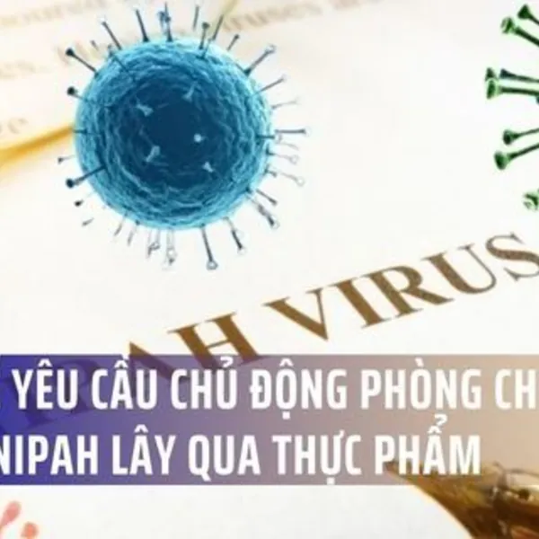 Bộ Y tế yêu cầu chủ động phòng chống virus Nipah lây qua thực phẩm