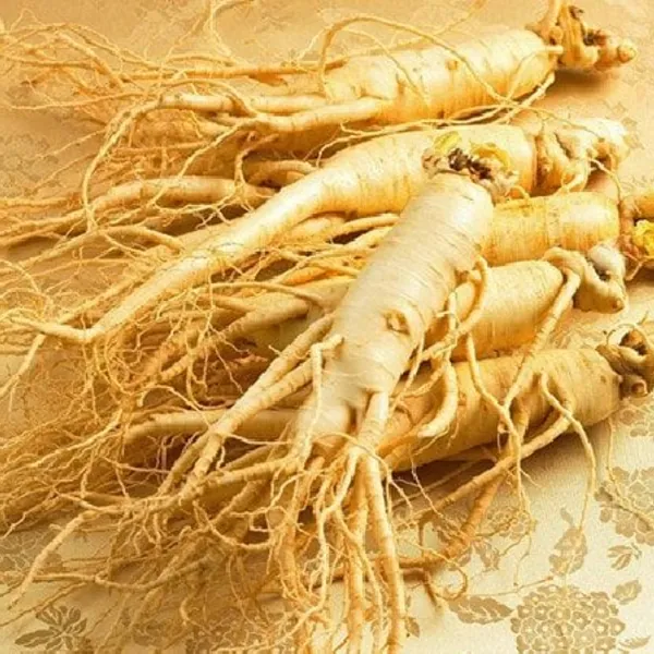 Nhân sâm đỏ cải thiện sức khỏe tiêu hóa, chất lượng cuộc sống ở bệnh nhân ung thư sau phẫu thuật