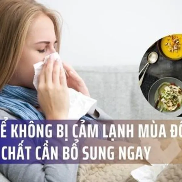 Ăn Gì Để Không Bị Cảm Lạnh Mùa Đông? 5 Dưỡng Chất Cần Bổ Sung Ngay