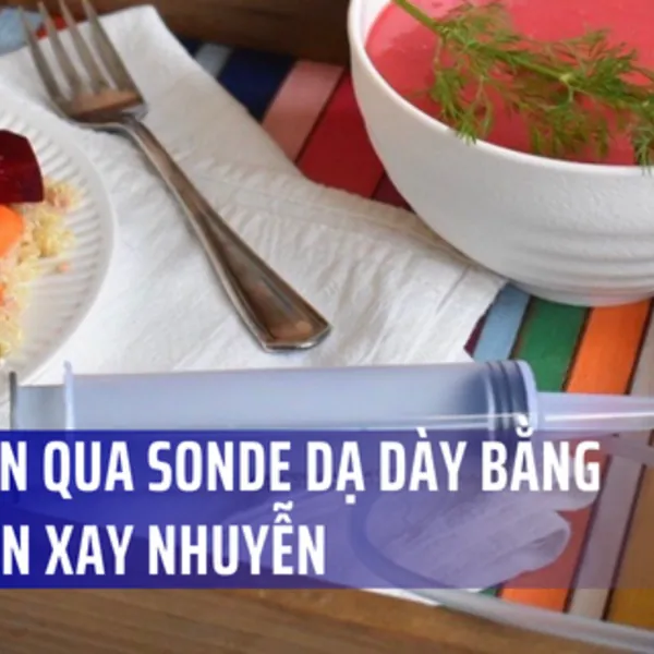 Nuôi ăn qua sonde dạ dày bằng thức ăn xay nhuyễn: Lợi ích và nguy cơ