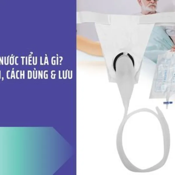 Túi Đựng Nước Tiểu Là Gì? Phân Loại, Cách Dùng & Lưu Ý Vệ Sinh