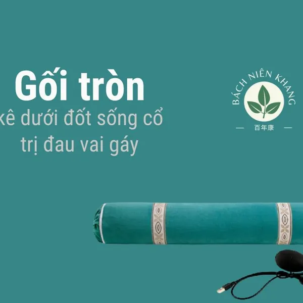 Cây ngải cứu – Vị thuốc Đông y bạn nên biết