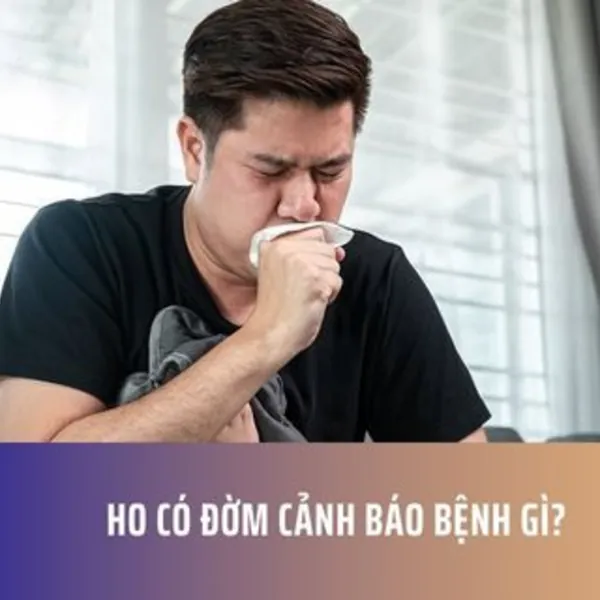 Ho Có Đờm Cảnh Báo Bệnh Gì?