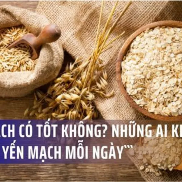 Yến Mạch Có Tốt Không? Những Ai Không Nên Ăn Yến Mạch Mỗi Ngày