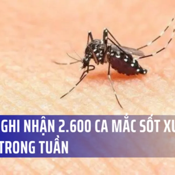 Hà Nội ghi nhận thêm gần 2.600 ca sốt xuất huyết, hơn 100 ổ dịch mới phát sinh