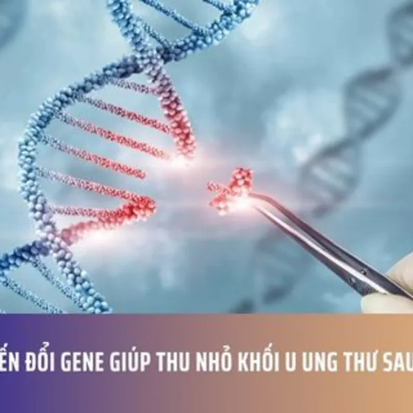 Virus Biến Đổi Gene Giúp Thu Nhỏ Khối U Ung Thư Sau 28 Ngày