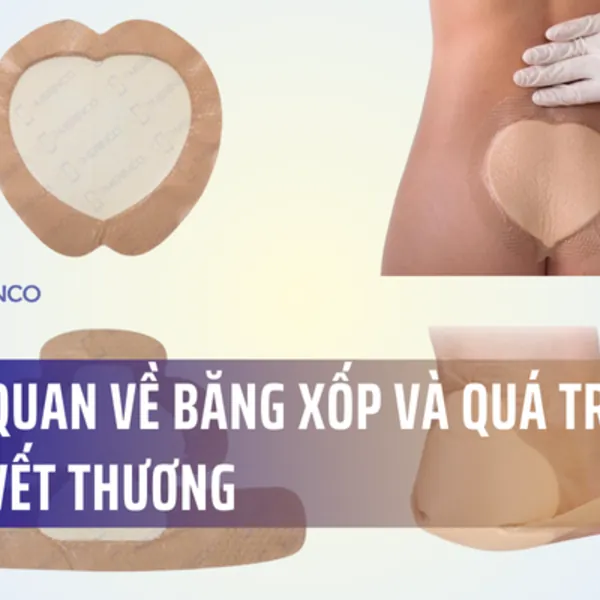 Báo cáo khoa học - Tổng quan về băng xốp và quá trình lành vết thương