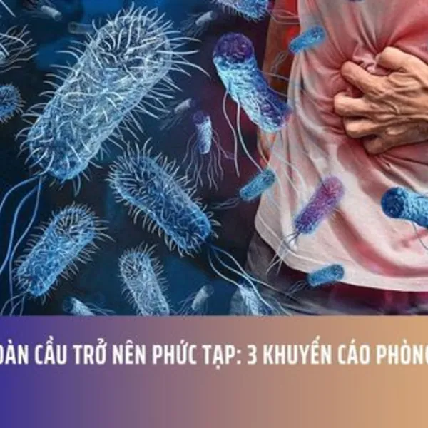 Dịch Tả Toàn Cầu Trở Nên Phức Tạp: 3 Khuyến Cáo Phòng Bệnh Của Bộ Y Tế
