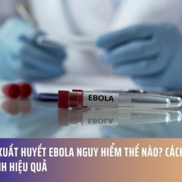 Sốt Xuất Huyết Ebola Nguy Hiểm Thế Nào? Cách Phòng Tránh Hiệu Quả