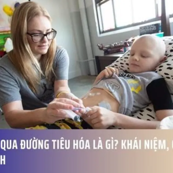 Nuôi ăn qua đường tiêu hóa là gì? Khái niệm, Các loại và Lợi ích