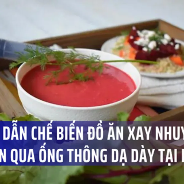 Nuôi ăn bằng sonde dạ dày: Hướng dẫn chung khi tự làm đồ ăn xay nhuyễn