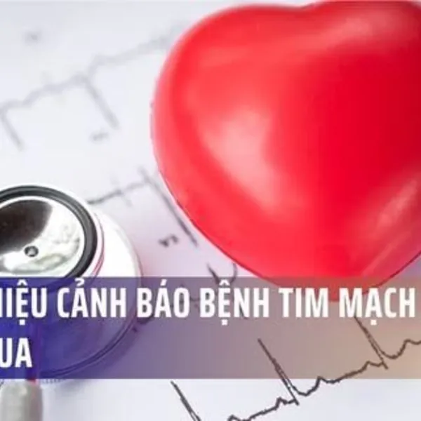 9 Dấu Hiệu Cảnh Báo Bệnh Tim Mạch Rất Dễ Bị Bỏ Qua: Đừng Chờ Đến Khi Ngực Bị Đau!