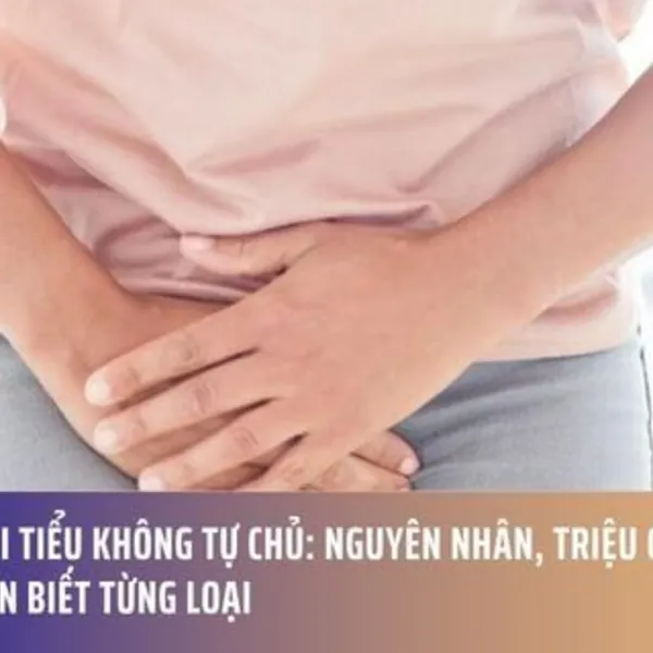 Phân Loại Tiểu Không Tự Chủ: Nguyên Nhân, Triệu Chứng Và Cách Nhận Biết Từng Loại