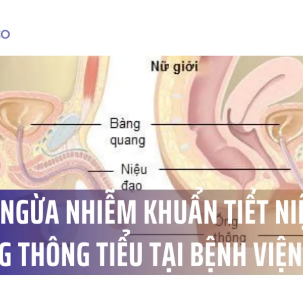 Phòng ngừa nhiễm khuẩn tiết niệu khi đặt ống thông tiểu tại bệnh viện
