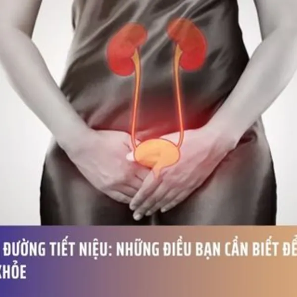 Viêm Đường Tiết Niệu: Những Điều Bạn Cần Biết Để Bảo Vệ Sức Khỏe
