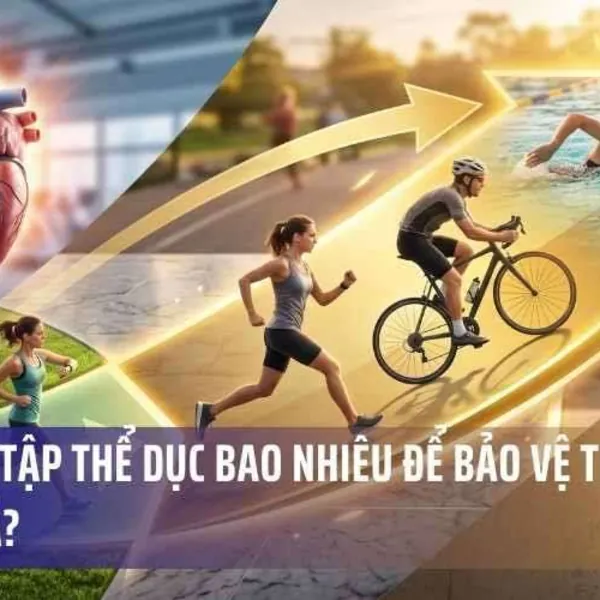 Bạn Cần Tập Thể Dục Bao Nhiêu Để Bảo Vệ Tim Mạch Hiệu Quả?