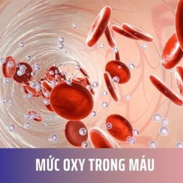 Mức oxy trong máu là gì? Cách đo và khi nào cần kiểm tra