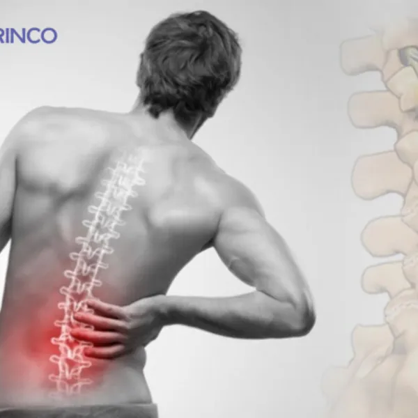 Giảm thời gian ngồi hàng ngày khoảng 40 phút có thể giúp ngăn chặn tình trạng đau lưng trở nên tồi tệ hơn