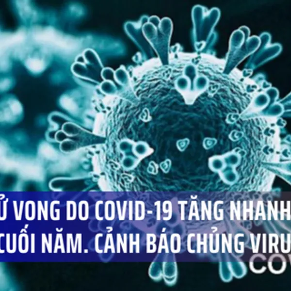 WHO: 10.000 người tử vong vì COVID trong 1 tháng trước các ngày lễ. Biến thể virus corona mới JN.1 đang lây lan mạnh.