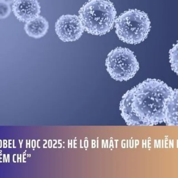 Giải Nobel Y học 2025: Hé lộ bí mật giúp hệ miễn dịch biết “tự kiềm chế”