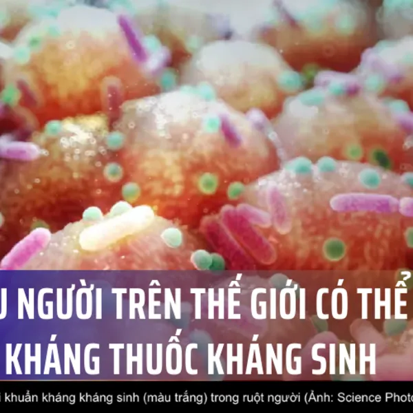 40 triệu người trên thế giới có thể tử vong vì kháng thuốc kháng sinh