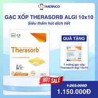Gạc xốp siêu thấm hút dịch tiết vết thương Therasorb Algi Plus Hydrophilic 10cmx10cm (hộp)